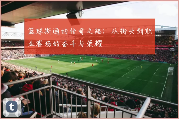 篮球斯通的传奇之路：从街头到职业赛场的奋斗与荣耀