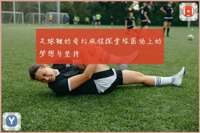 足球鲤的奇幻旅程探索绿茵场上的梦想与坚持