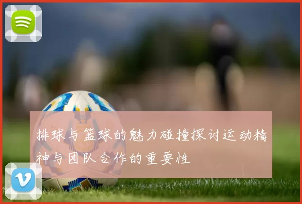 排球与篮球的魅力碰撞探讨运动精神与团队合作的重要性