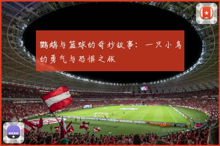 鹦鹉与篮球的奇妙故事：一只小鸟的勇气与恐惧之旅