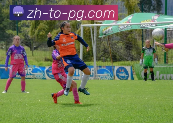 PG模拟器平台生态图